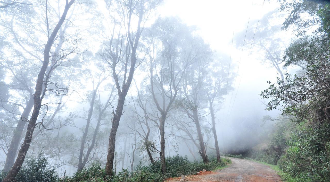 Hotel City Palace Ooty Buitenkant foto